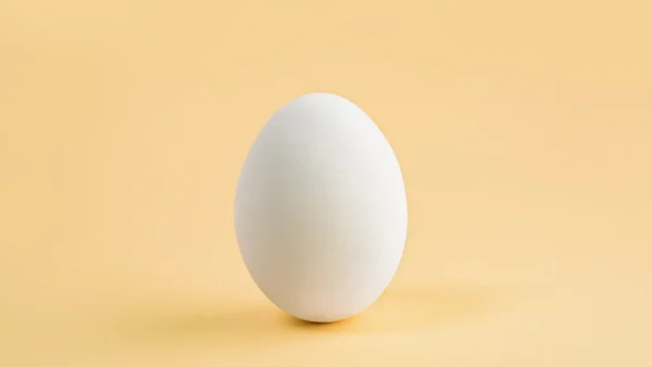 EGG